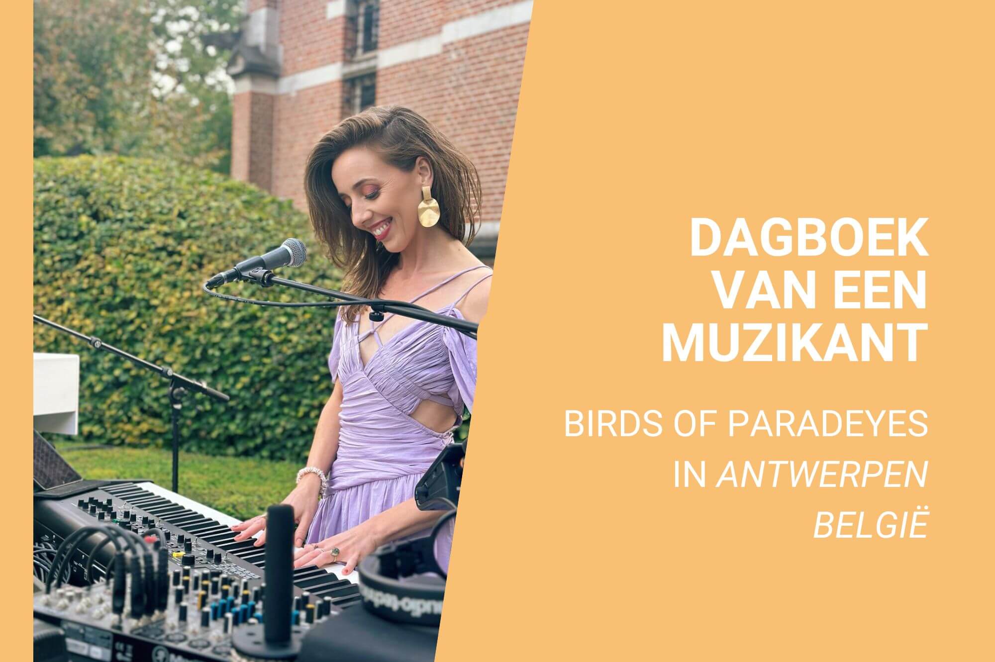 Dj act Birds of Paradeyes