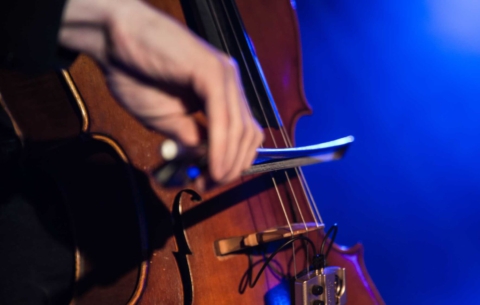 Nieuwsbericht: Instrumentale muziek voor je bruiloft of event